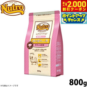 y2000~OFFN[|IX|Cgő55{I{Izj[g i``CX hbOt[h ^p p `L 800g Y pi ybgObY ybgpi [NC-AD]