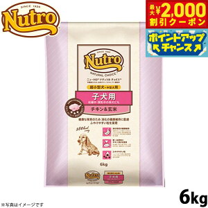 y2000~OFFN[|IX|Cgő55{I{Izj[g i``CX hbOt[h qp ^`^ `L 6kg Y 