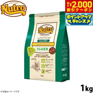 y2000~OFFN[|IX|Cgő55{I{Izj[g i``CX hbOt[h  ^`^ GCWOPA 1kg VjA  Y  ybgO