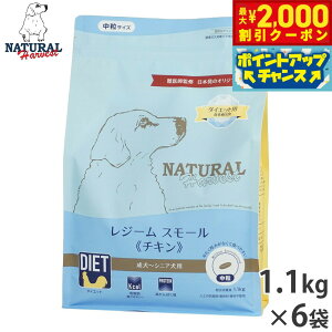 y2000~OFFN[|IX|Cgő55{I{Izi`n[xXg hbOt[h _CGbgpHÖ@H W[ X[ `L `VjAp  1.1kg×6܃Zbgy