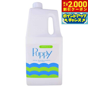 y2000~OFFN[|IX|Cgő55{I{Izj`hE ~N ps[Vv[ iepj 3LyzpVv[