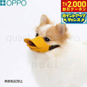 y2000~OFFN[|IX|Cgő55{I{IzOPPO quack closediNAbN N[YjSTCY pi ցi݂ ʖih~j/GUxXJ[