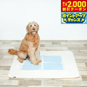 y2000~OFFN[|IX|Cgő55{I{Iznbs[fCY HappyDays 􂦂LhV[g L  L L R h Y gC   ېOK