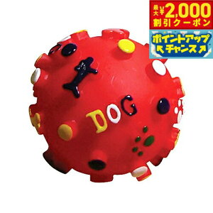 y2000~OFFN[|IX|Cgő55{I{Izm v[v[hbO{[ S bh p ^ 킢