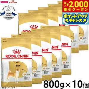 y2000~OFFN[|IX|Cgő55{I{IzCJi  hbOt[h u[hwXj[gV Čpt[h p 800g×10 Ki