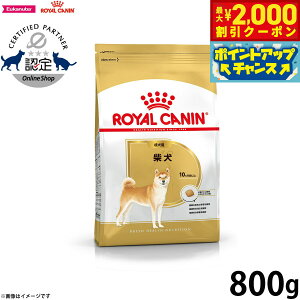 y2000~OFFN[|IX|Cgő55{I{IzCJi  hbOt[h u[hwXj[gV Čpt[h p 800g Ki