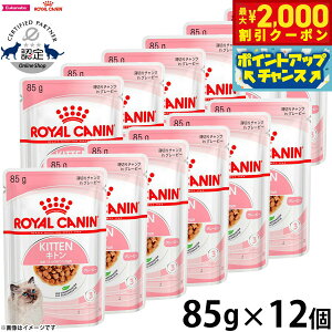 y2000~OFFN[|IX|Cgő55{I{IzCJi L Lbgt[h tB[CwXj[gV EFbgt[h Lg O[r[ 85g×12 Ki L