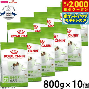 y2000~OFFN[|IX|Cgő55{I{IzCJi  hbOt[h TCYwXj[gV GNXg X[ A_g 800g×10 Ki ^pt