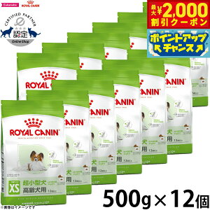 y2000~OFFN[|IX|Cgő55{I{IzCJi  hbOt[h TCYwXj[gV GNXg X[ GCWO 12{ 500g×12 Ki ^