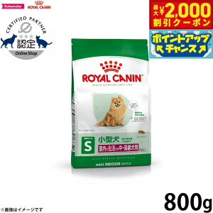 y2000~OFFN[|IX|Cgő55{I{IzCJi  hbOt[h ~j ChA VjA 800g Ki Ő鏬^p  p