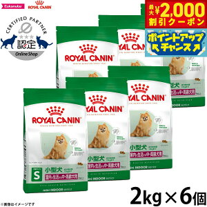 y2000~OFFN[|IX|Cgő55{I{IzCJi  hbOt[h ~j ChA VjA 2kg×6 Ki Ő鏬^p  p