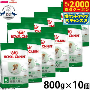 y2000~OFFN[|IX|Cgő55{I{IzCJi  hbOt[h TCYwXj[gV ~j GCWO 12{ 800g×10 Ki ^pt[h 