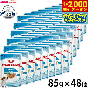 y2000~OFFN[|IX|Cgő55{I{IzCJi  hbOt[h TCY wX j[gV EFbg ~j ps[ ^pEFbgt[h qp 85g×48