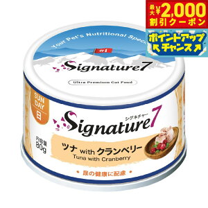 y2000~OFFN[|IX|Cgő55{I{IzVOl`[7 Lbgt[h EFbg peB^Cv ij ciNx[ 80g×24ʁyz Y L EFbgt[