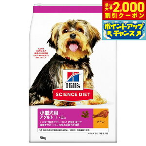 y2000~OFFN[|IX|Cgő55{I{IzTCGX _CGbg A_g ^p p 1`6 `L 5kg qY hbOt[h hCt[h h{H F s