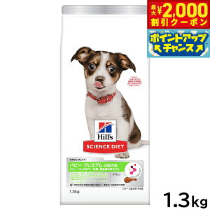 y2000~OFFN[|IX|Cgő55{I{IzTCGX _CGbg hbOt[h ^p ps[v~A 1.3kg