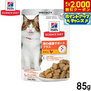 y2000~OFFN[|IX|Cgő55{I{IzqY TCGX_CGbg Lbgt[h Lp ̌NT|[gvX `L pE` 85g