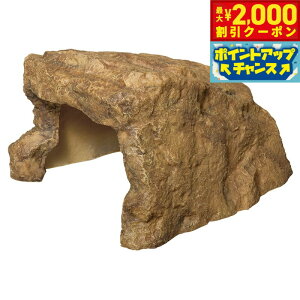 y2000~OFFN[|IX|Cgő55{I{IzXh[ bNVF^[SP XL