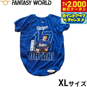 y2000~OFFN[|IX|Cgő55{I{IzMLB T[X hW[X JĕI胂f jtH[ tHgTVc XL싅 Los Angeles Dodgers ybg W[[O