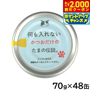 y2000~OFFN[|IX|Cgő55{I{IzȂ̂܂̓` Lbgt[h 70g×48ʃZbgyz Y Y EGbgt[h L