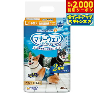 y2000~OFFN[|IX|Cgő55{I{Izj`[ }i[EFA j̎qp ^p