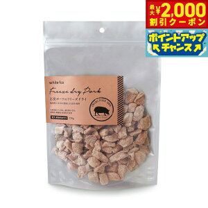 y2000~OFFN[|IX|Cgő55{I{IzzCgtHbNX Ό|[Ñt[YhC 120g  L  育 gbsO Y Y F ۑsgp