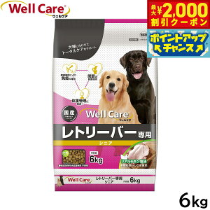 y2000~OFFN[|IX|Cgő55{I{IzEFPA hbOt[h g[o[p VjA 6kg Y 