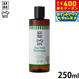 y400~OFFN[|IX|Cgő46{I121IzAPDC eB[c[Vv[ 250ml G[s[fB[V[  PA  VR A GR