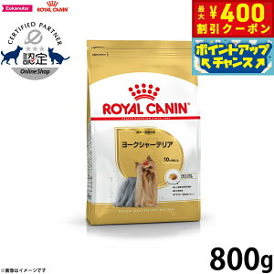 y400~OFFN[|IX|Cgő43{I{IzCJi  hbOt[h u[hwXj[gV [NV[eApt[h `p 800g Ki