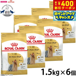 y400~OFFN[|IX|Cgő43{I{IzCJi  hbOt[h u[hwXj[gV [NV[eApt[h `p 1.5kg×6 K