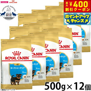 y400~OFFN[|IX|Cgő43{I{IzCJi  hbOt[h u[hwXj[gV [NV[eApt[h qp 500g×12 Ki