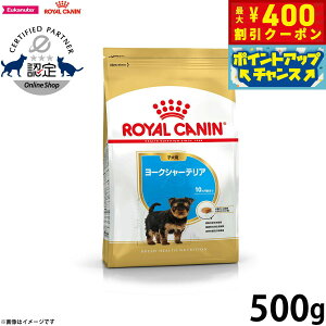 y400~OFFN[|IX|Cgő43{I{IzCJi  hbOt[h u[hwXj[gV [NV[eApt[h qp 500g Ki