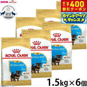 y400~OFFN[|IX|Cgő43{I{IzCJi  hbOt[h u[hwXj[gV [NV[eApt[h qp 1.5kg×6 Ki