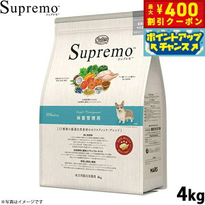 y400~OFFN[|IX|Cgő43{I{Izj[g Vv hbOt[h S ̏dǗp 4kg NUTOR hbOt[h Y  pi ybgpi [SP-WT]