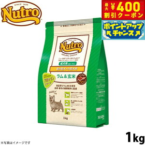 y400~OFFN[|IX|Cgő46{I121Izj[g i``CX hbOt[h  ^`^ p 1kg Y pi ybgObY ybgpi [NC-AD