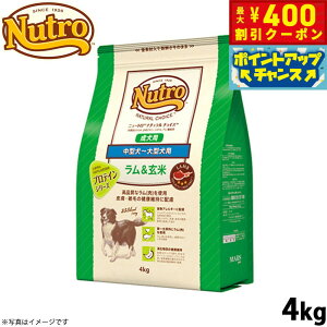 y400~OFFN[|IX|Cgő46{I121Izj[g i``CX hbOt[h  ^`^ p 4kg Y piybgpi [NC-AD]