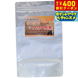 y400~OFFN[|IX|Cgő46{I121IzO[[hbOA[X Tvg ݂΂p[C iV[|}bNXj 300g VjA  GCWOPA v|X