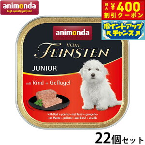 y400~OFFN[|IX|Cgő46{I{IzAj_ hbOt[h tHt@CXe WjA  ؓ  150g×22 Y 