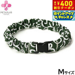 y400~OFFN[|IX|Cgő46{I121Izy^vX ɂ񂭂ohi߂j L ^p lbNoh M lO[yz