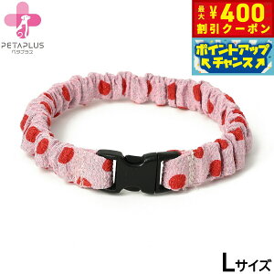 y400~OFFN[|IX|Cgő46{I121Izy^vX ɂ񂭂ohi߂j L ^p lbNoh L ʃsNyz