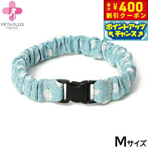 y400~OFFN[|IX|Cgő46{I121Izy^vX ɂ񂭂ohi߂j L ^p lbNoh M ʃu[yz