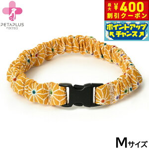 y400~OFFN[|IX|Cgő46{I121Izy^vX ɂ񂭂ohi߂j L ^p lbNoh M CG[yz