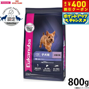 [Jko Eukanuba hbOt[h X[ ps[ 800g ^ qp