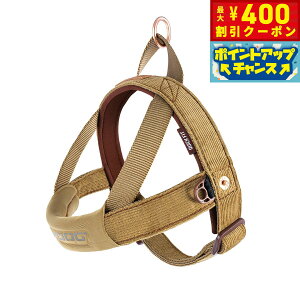 y400~OFFN[|IX|Cgő46{I121IzC[W[hbO EZY DOG NCbNn[lX XS R[fCyz