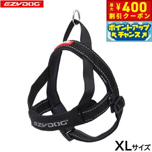 y400~OFFN[|IX|Cgő46{I121IzC[W[hbO EZYDOG NCbNn[lX XL ubNyz ȒP  ^