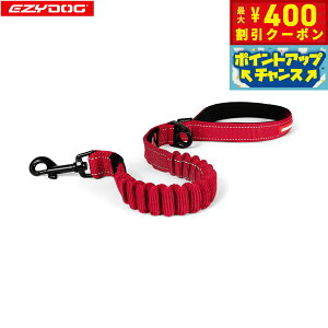 y400~OFFN[|IX|Cgő46{I121IzC[W[hbO EZYDOG [VbN bhyz [h