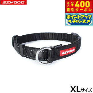 y400~OFFN[|IX|Cgő46{I121IzC[W[hbO EZYDOG `FbNCg XL ubN  n[t`[N  ^