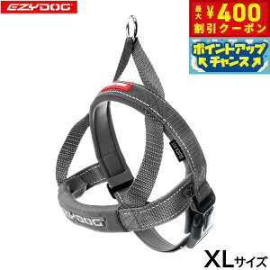 y400~OFFN[|IX|Cgő46{I121IzC[W[hbO EZYDOG NCbNn[lX XL OCyz ȒP  ^