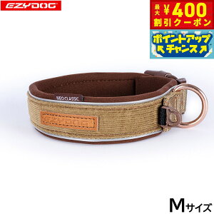 y400~OFFN[|IX|Cgő46{I121IzC[W[hbO EZYDOG v~A R[fC RNV lIJ[ M R[fCyz  EFbgX[cf 