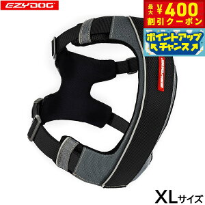 y400~OFFN[|IX|Cgő46{I121IzC[W[hbO EZYDOG GbNXNn[lX XL ubNyz  ^ g[jO